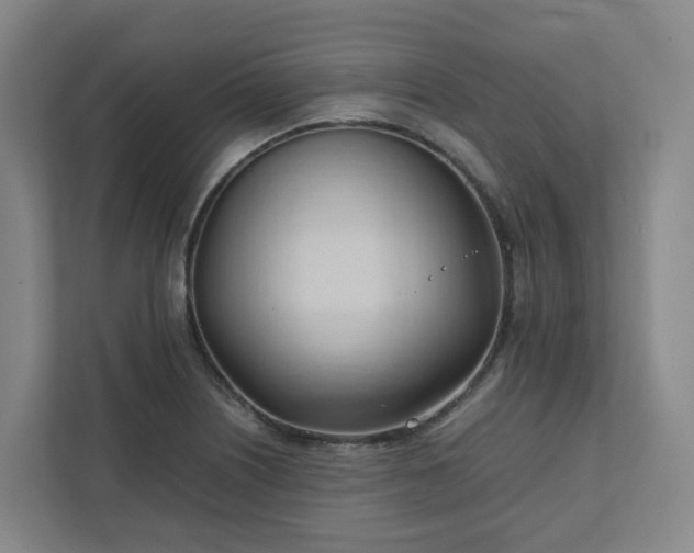 X0000111951226200908031151
