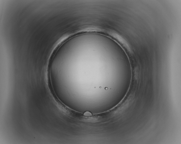 X0000111951229200908031151