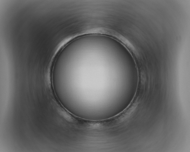 X0000111951230200908031151