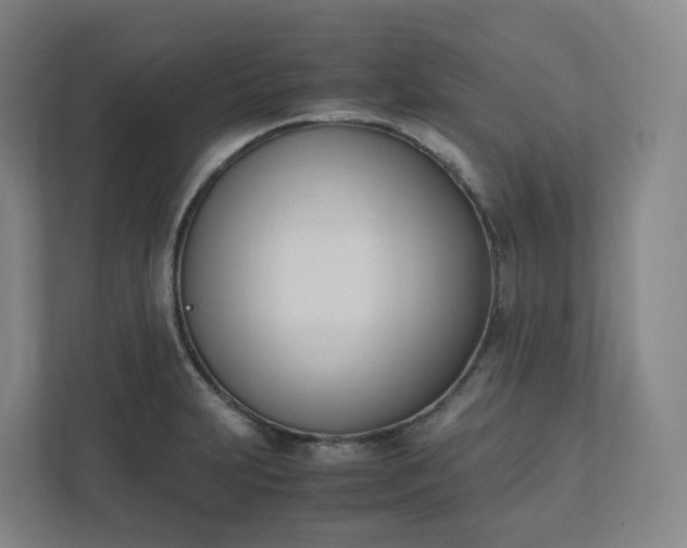 X0000111951231200908031151