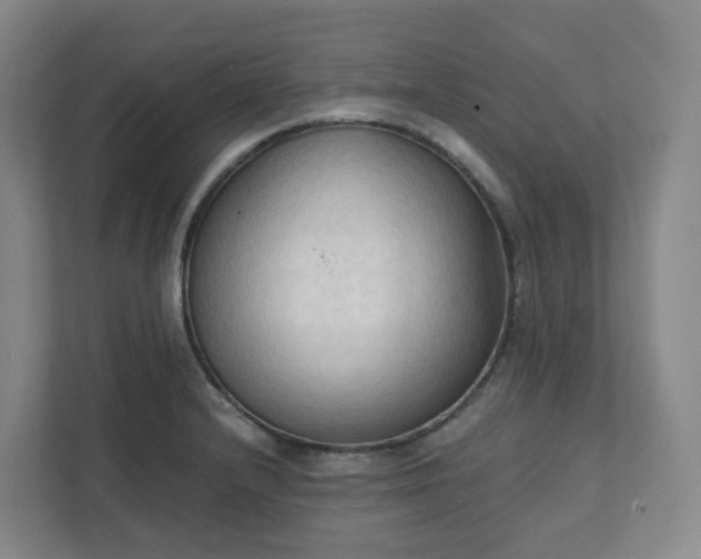 X0000111951232200908031151