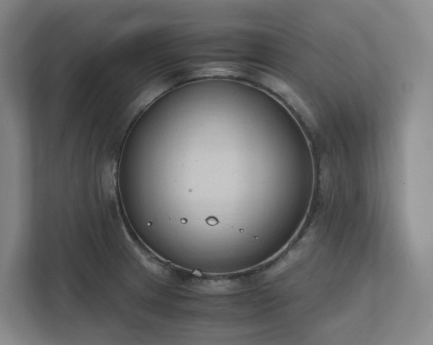 X0000111951233200908031151