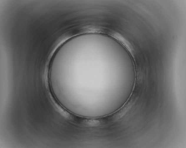 X0000111951235200908031151
