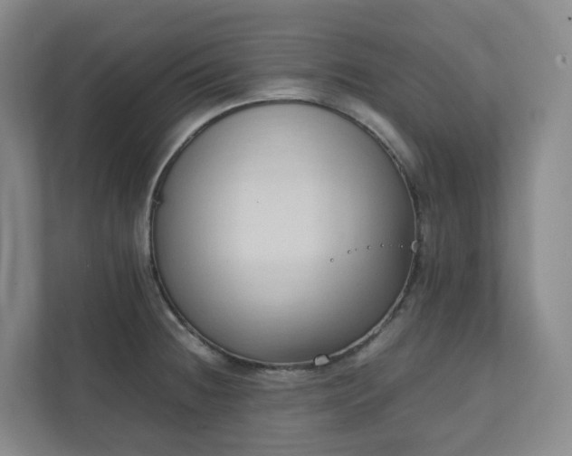 X0000111951236200908031151