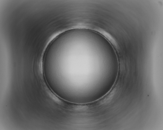 X0000111951238200908031152