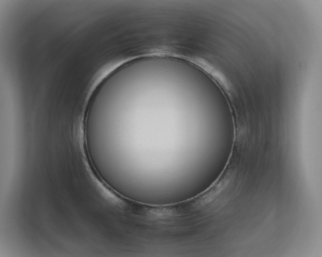 X0000111951239200908031152