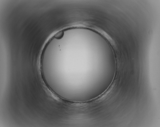 X0000111951240200908031152