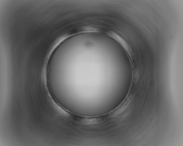 X0000111951243200908031152