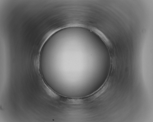 X0000111951244200908031152