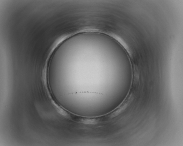X0000111951245200908031152