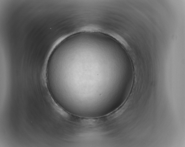 X0000111951248200908031152