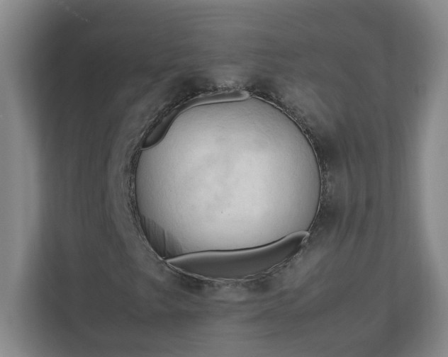 X0000111951249200908031151
