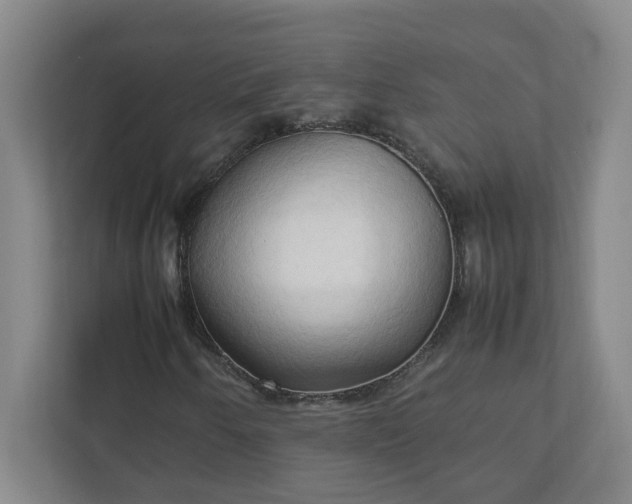 X0000111951250200908031151