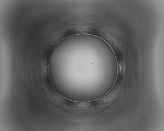 X0000111951251200908031151