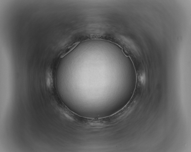 X0000111951252200908031151
