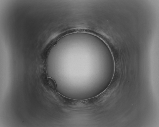 X0000111951255200908031151