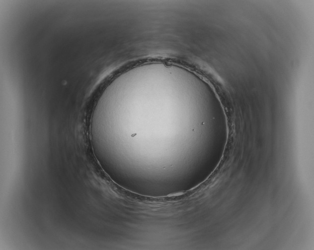 X0000111951256200908031151