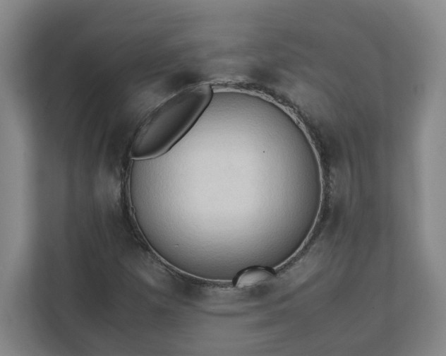 X0000111951257200908031151