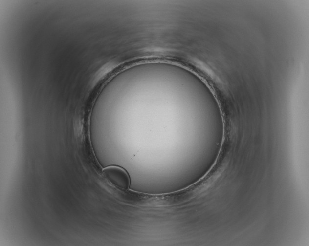 X0000111951259200908031151