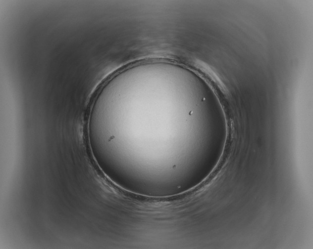 X0000111951260200908031151
