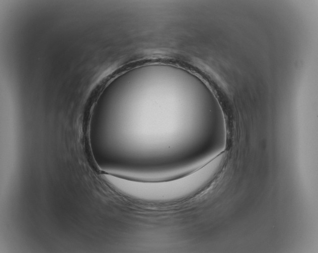 X0000111951261200908031151