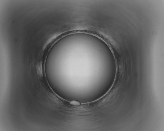 X0000111951262200908031151