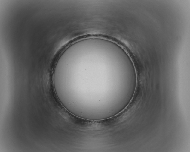 X0000111951263200908031151