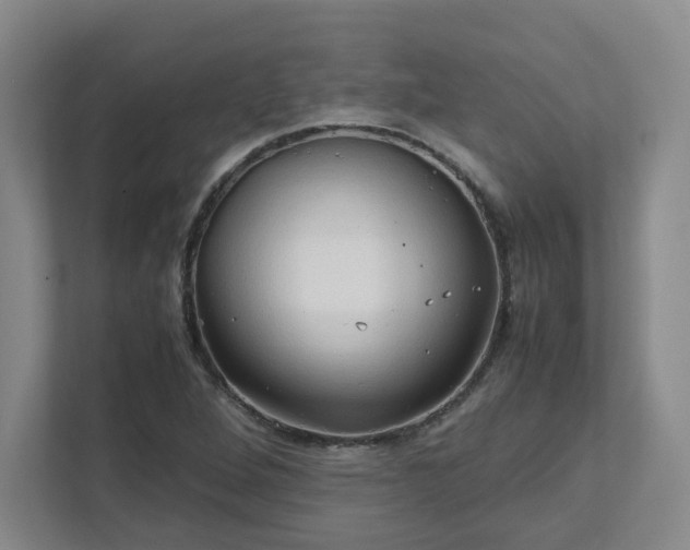 X0000111951264200908031151