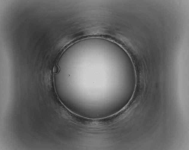 X0000111951265200908031151