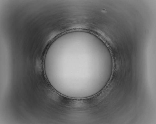 X0000111951266200908031151