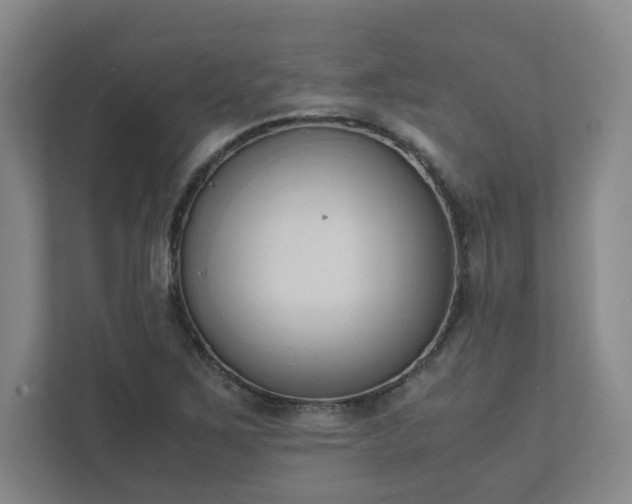 X0000111951267200908031151