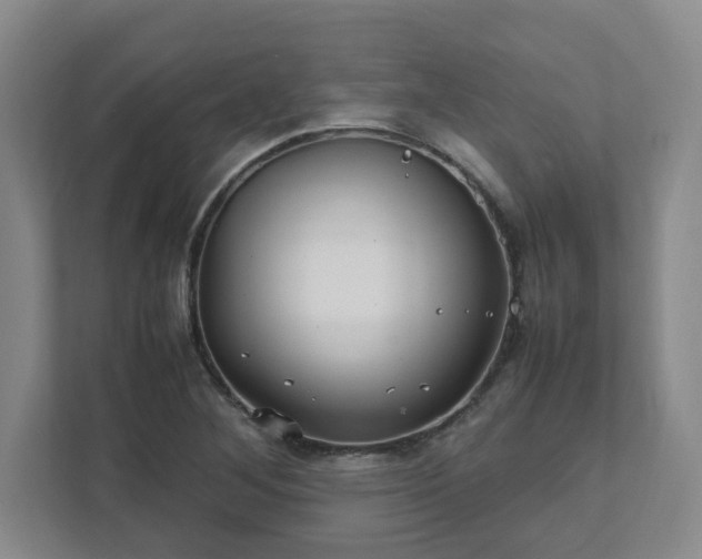X0000111951268200908031151