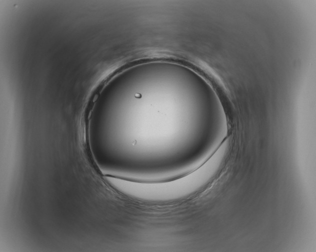 X0000111951269200908031151