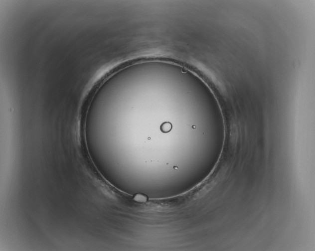 X0000111951270200908031151