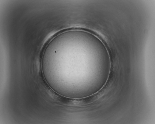 X0000111951271200908031151