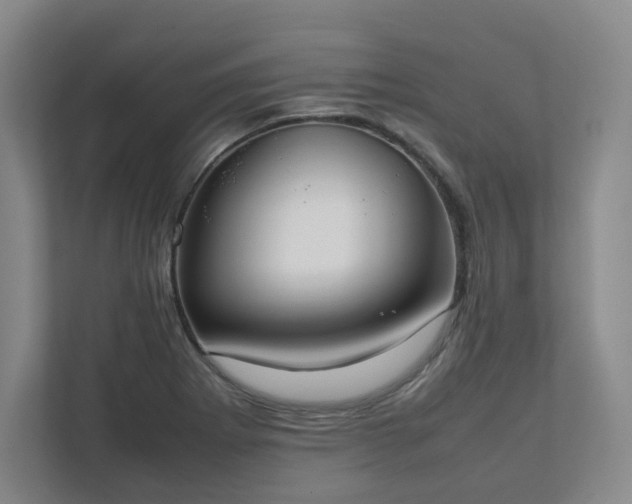 X0000111951273200908031151