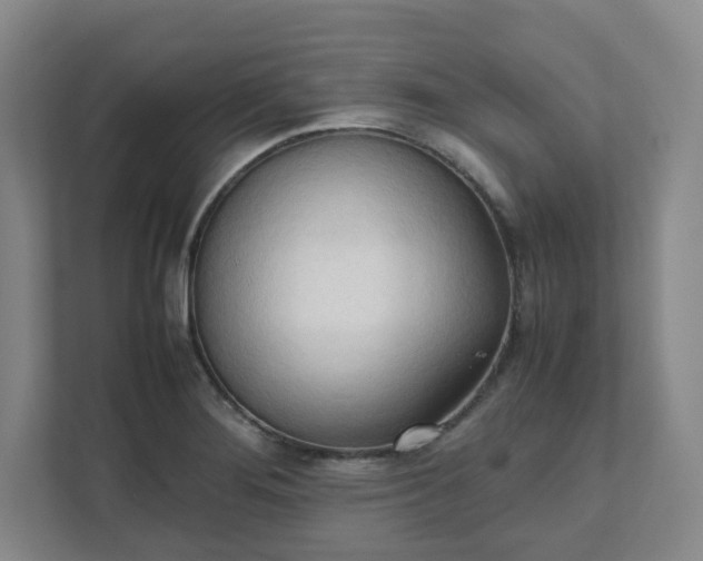 X0000111951276200908031151