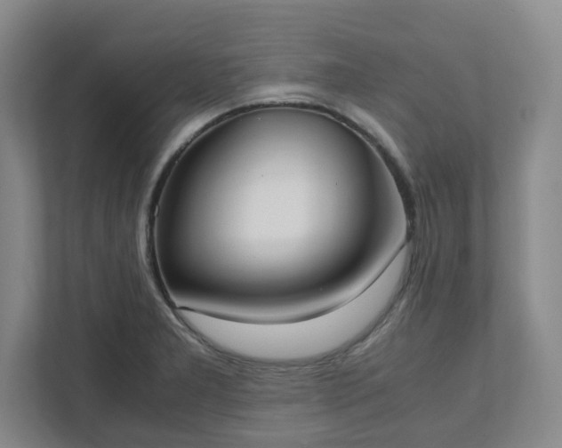 X0000111951277200908031151