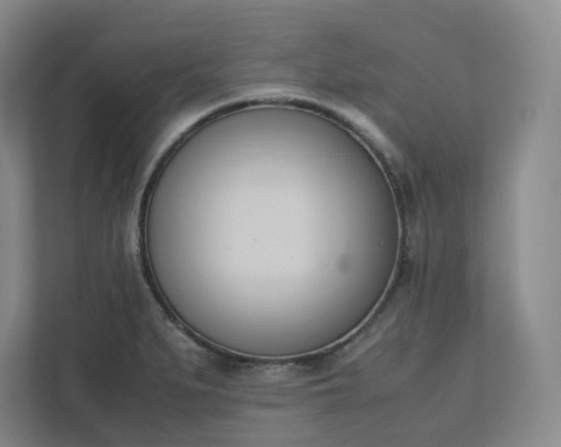 X0000111951279200908031151