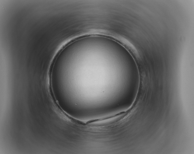 X0000111951280200908031151
