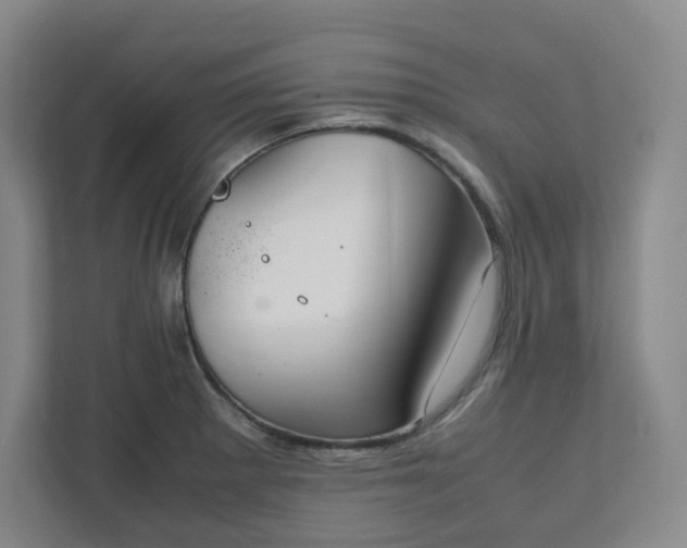 X0000111951281200908031151