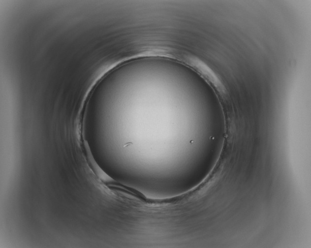 X0000111951284200908031151