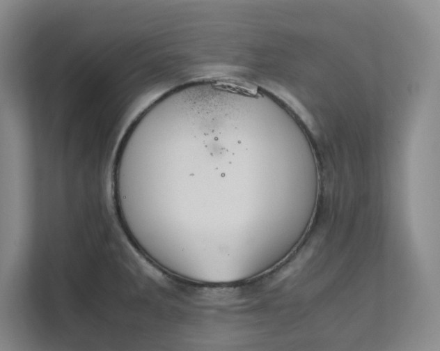 X0000111951285200908031151