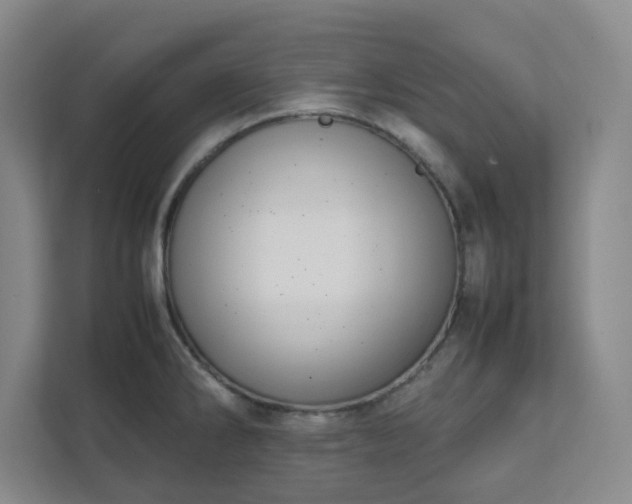 X0000111951286200908031151