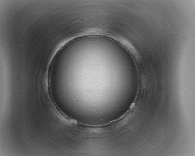 X0000111951288200908031151