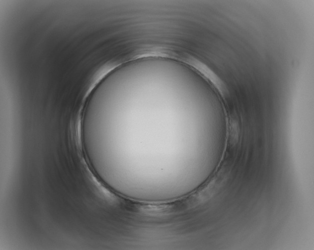 X0000111951290200908031150