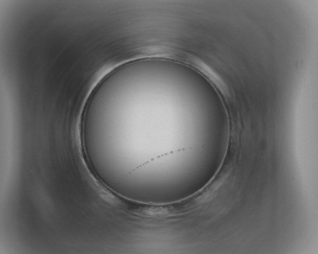 X0000111951291200908031150