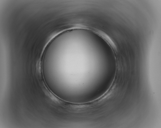 X0000111951292200908031150