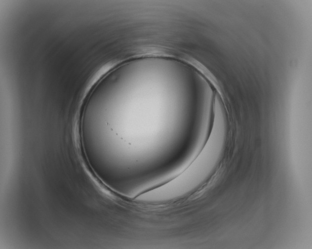 X0000111951293200908031150