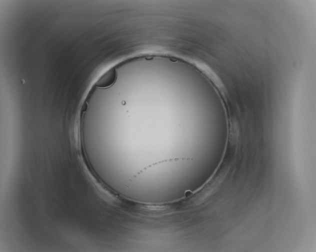 X0000111951295200908031150